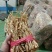 农家手工小竹笋麻竹笋小笋干原味笋干