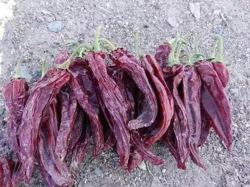 【厂家包邮】10㎏陕西辣椒特红特细红油辣椒面辣椒粉
