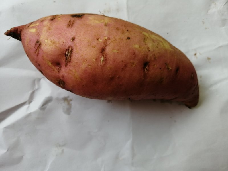 湖北天莹食品有限公司支持一件代发