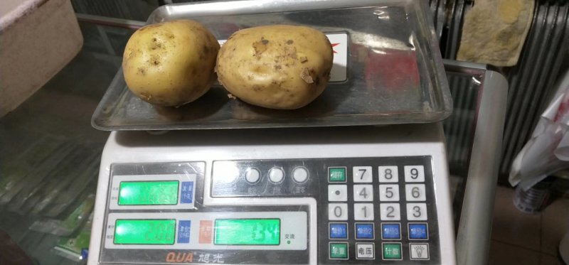 尤金885！富金！