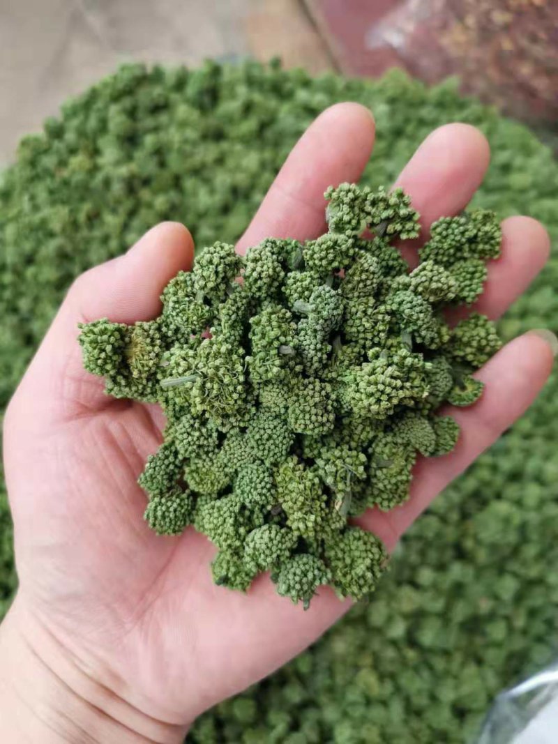 文山三年三七花云南人工干货现货