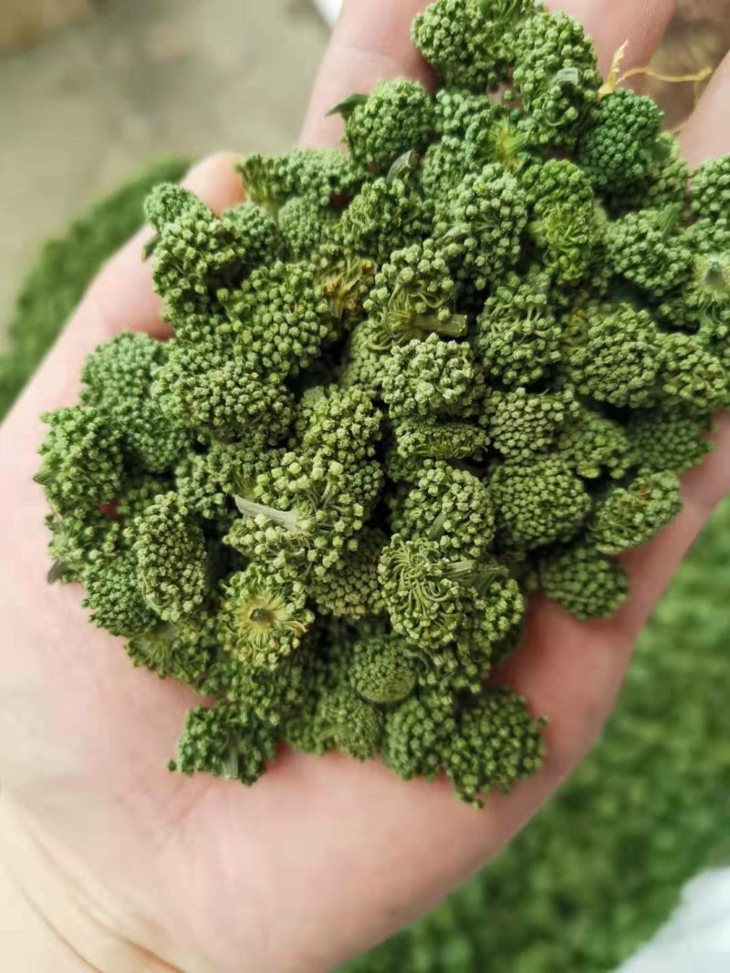 文山三年三七花云南人工干货现货