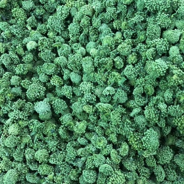 文山三年三七花云南人工干货现货