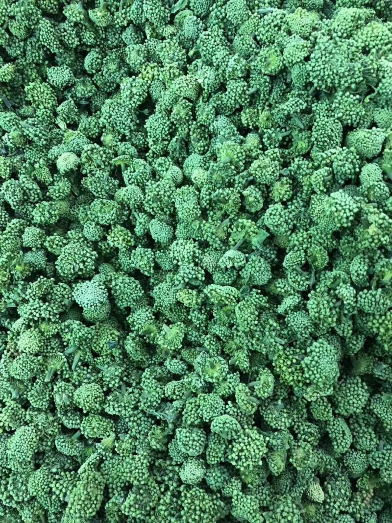 文山三年三七花云南人工干货现货