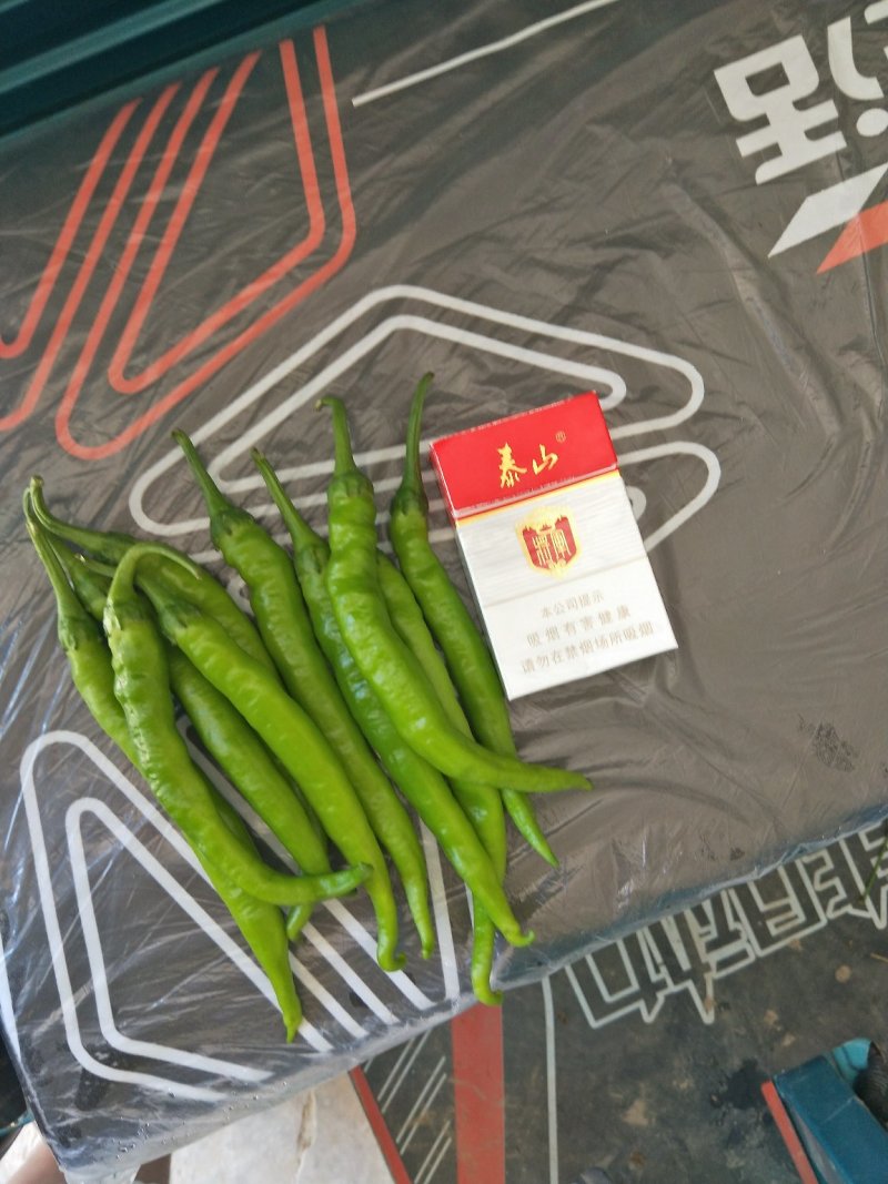 精品杭椒质量第一