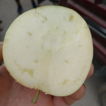 红露苹果山东苹果批发