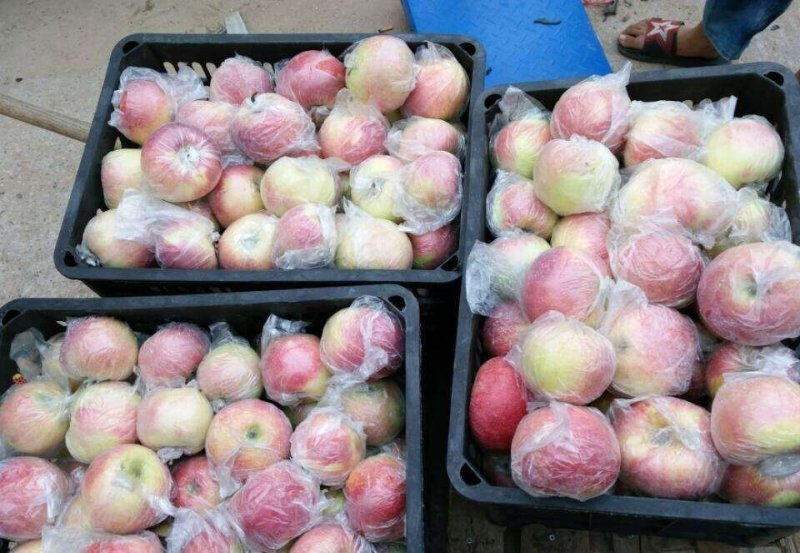 红露苹果批发红露鲜苹果上市质量好口感脆甜一手货源