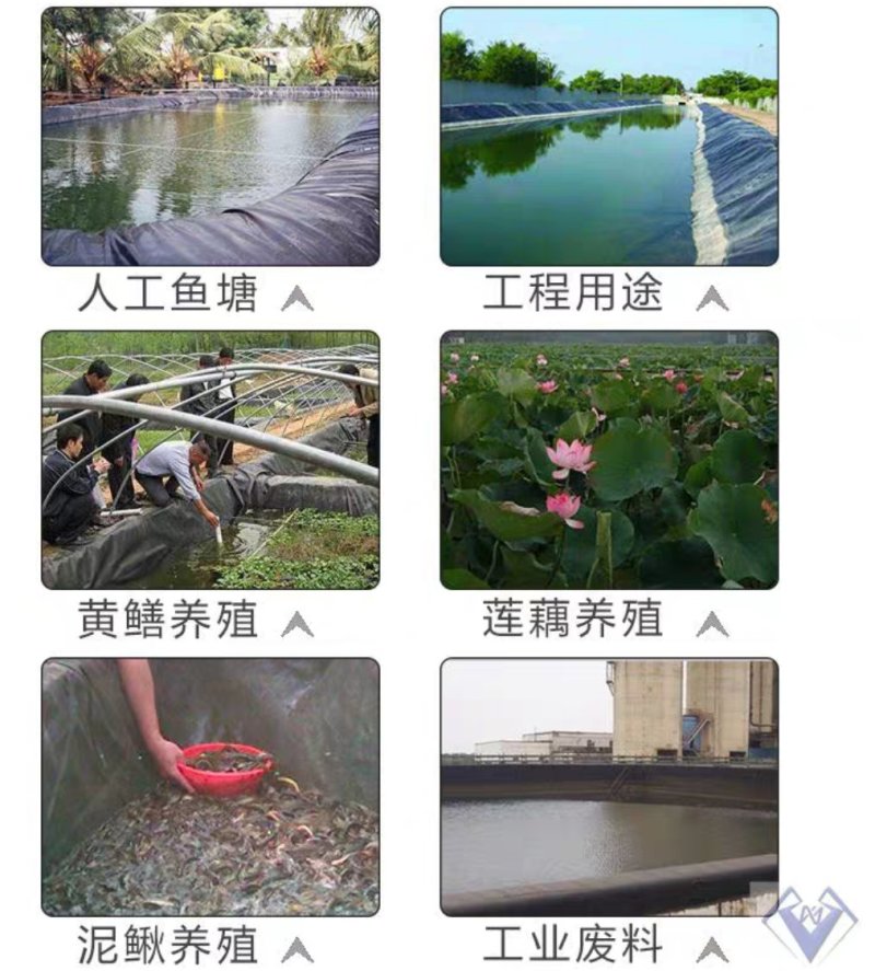 防渗膜