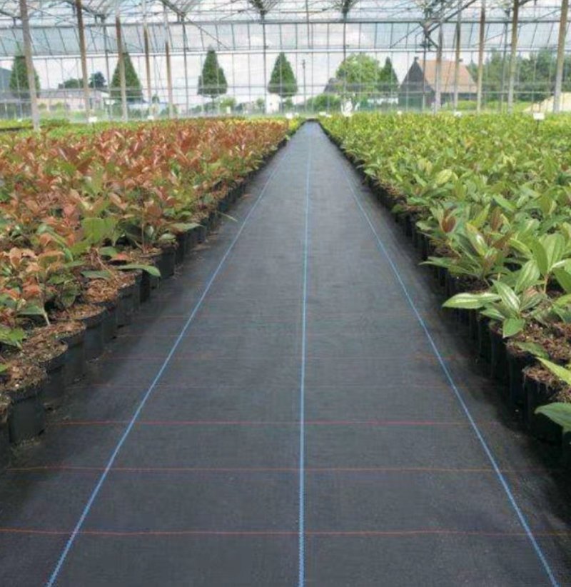 防草布除草布抑草布大棚果园果树防草地布除草地布遮草布盖草