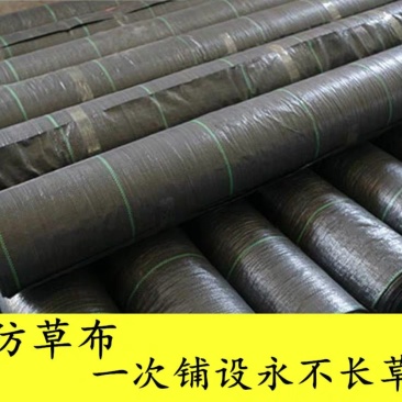 防草布除草布抑草布大棚果园果树防草地布除草地布遮草布盖草