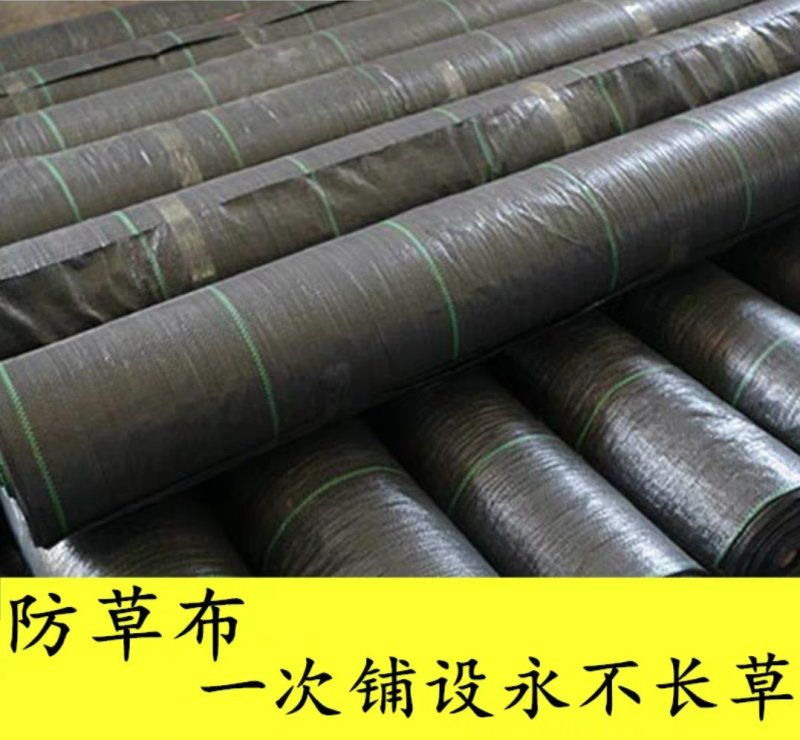 防草布除草布抑草布大棚果园果树防草地布除草地布遮草布盖草
