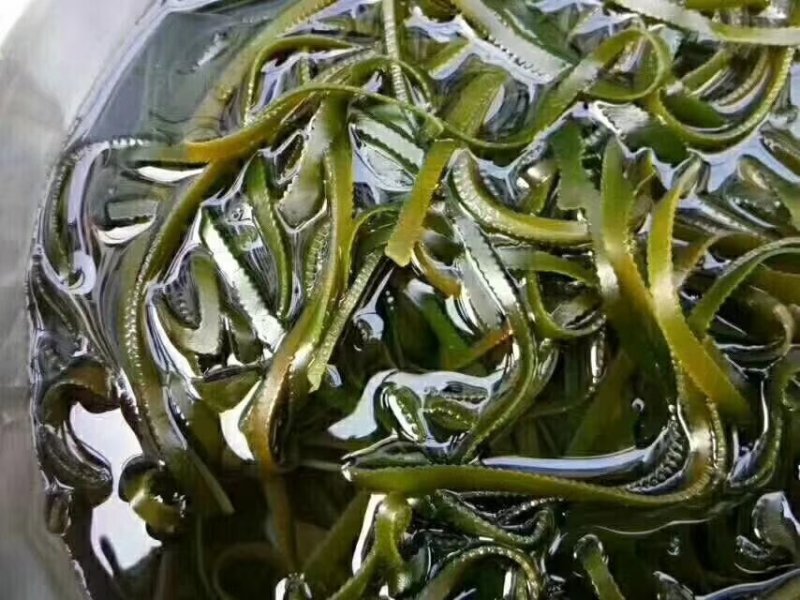 特级海带丝可视频看货上门提货