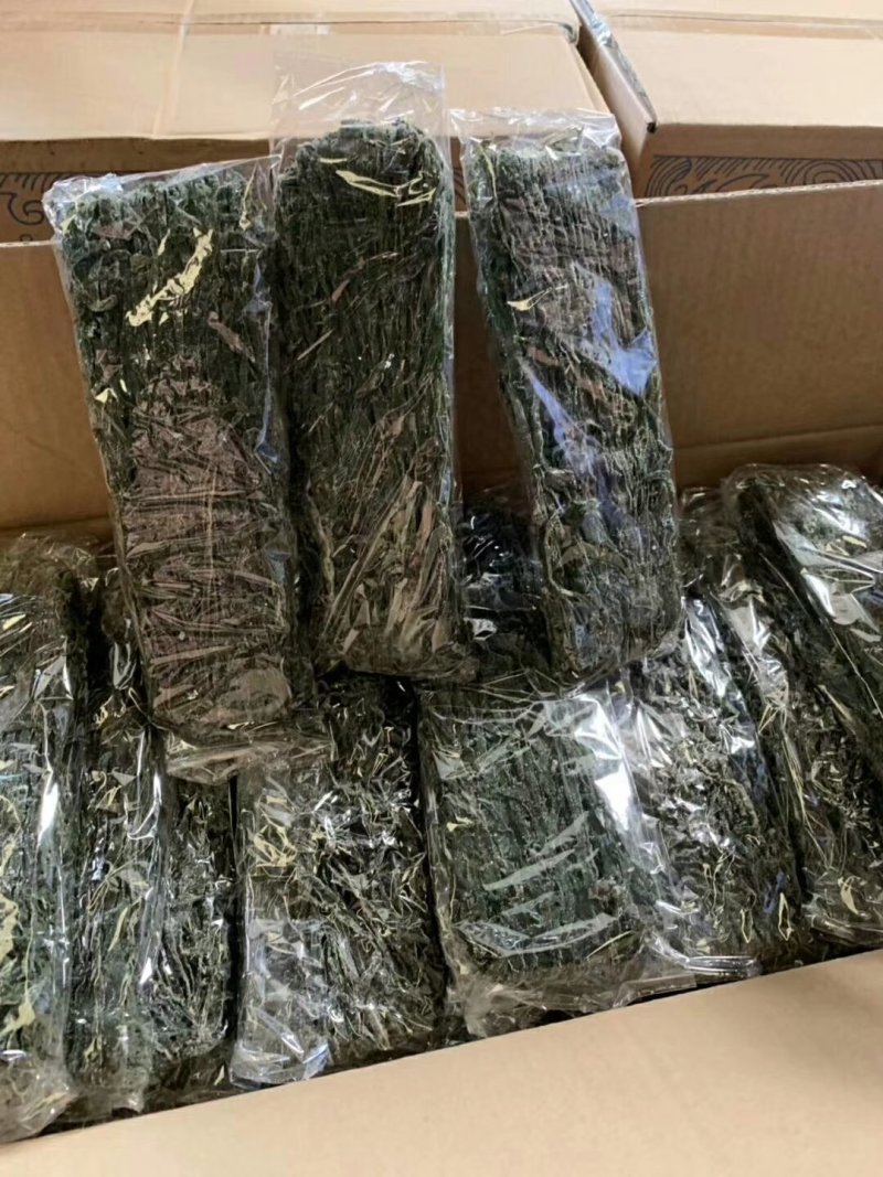 特级海带丝可视频看货上门提货