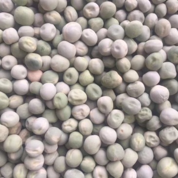 干豌豆米可视频看货上门提货