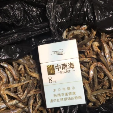 饲料鱼