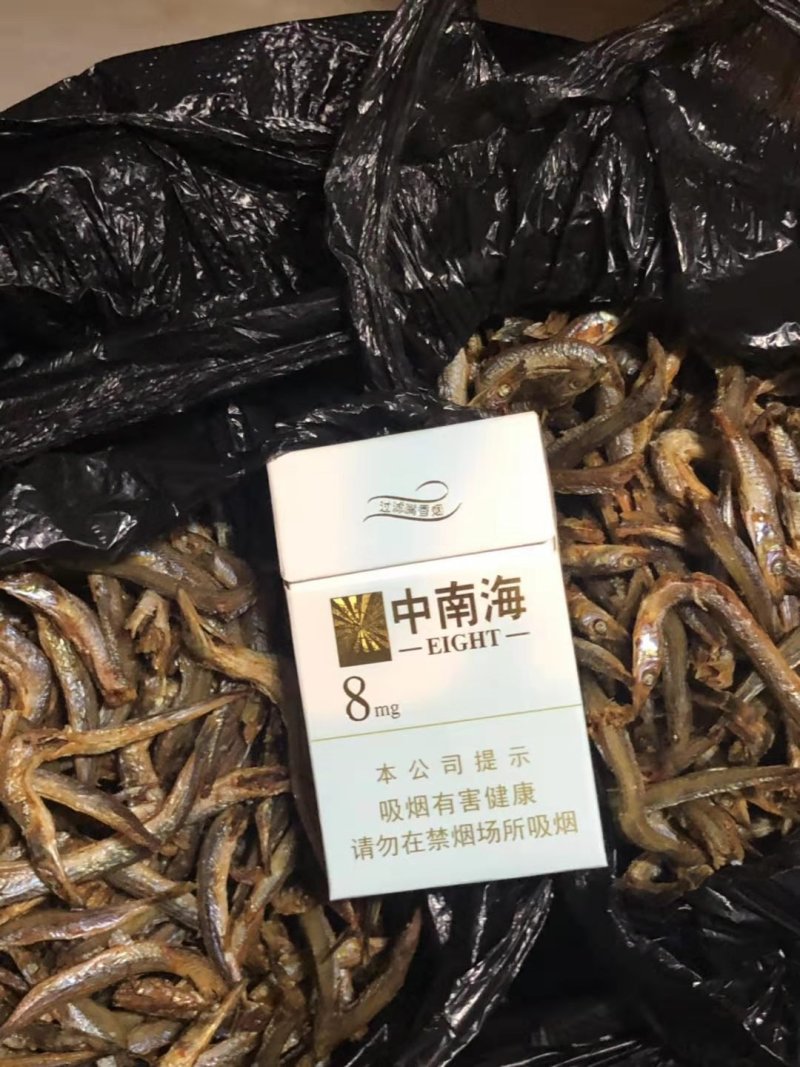 饲料鱼