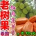 正宗进口菠萝蜜苗泰8、12，泰国红肉苗2年挂果