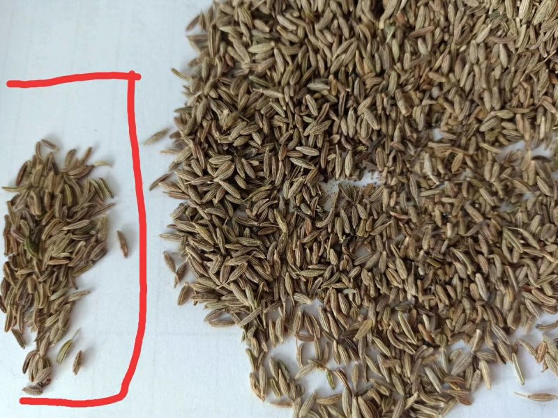 孜然，孜然，烧烤必备，家用香料大料佐料