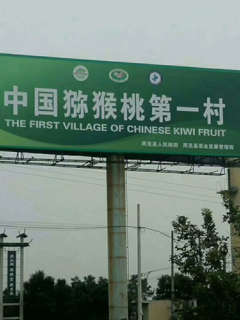 猕猴桃