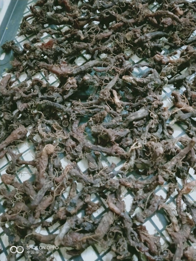 （热卖中）野生黄精九蒸九晒所有工序人工制作自产自销农产品
