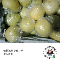 皇冠梨
