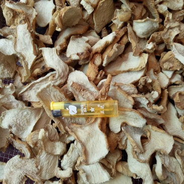 黄精欢迎各位老板提前预定黄精饮片