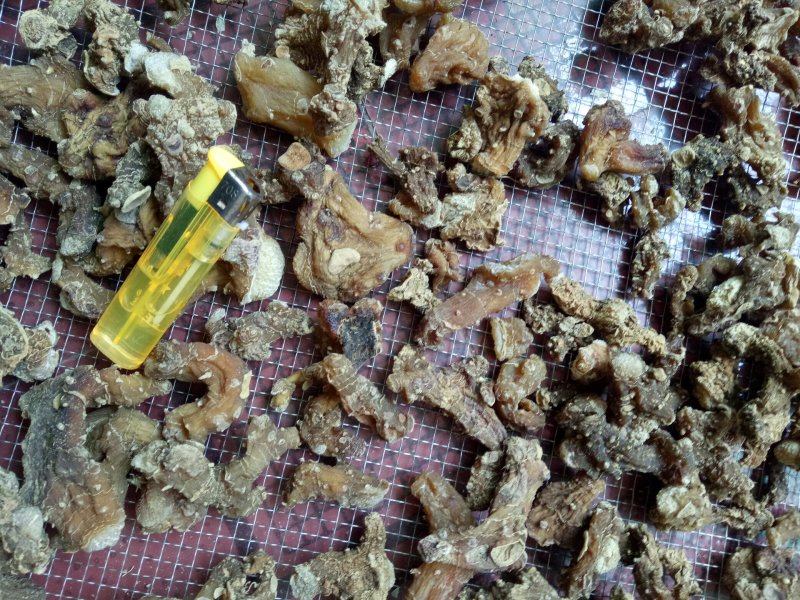 黄精欢迎各位老板提前预定黄精饮片