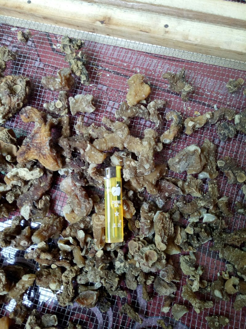 黄精欢迎各位老板提前预定黄精饮片