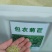 进口菊苣草子多年生四季牧草种子高产耐寒喂养鸡鸭鹅猪牛羊