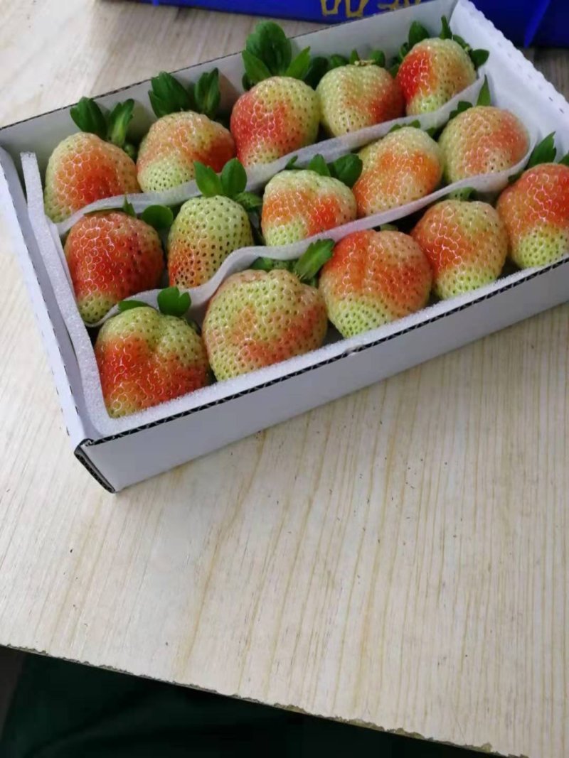 草莓