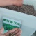 进口牧草种子墨西哥玉米草种子阔叶高产饲用玉米草种子