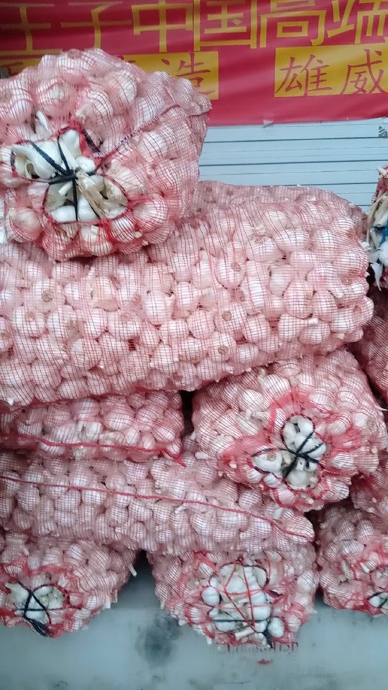 苍山大蒜，苔蒜，四六瓣，多瓣，