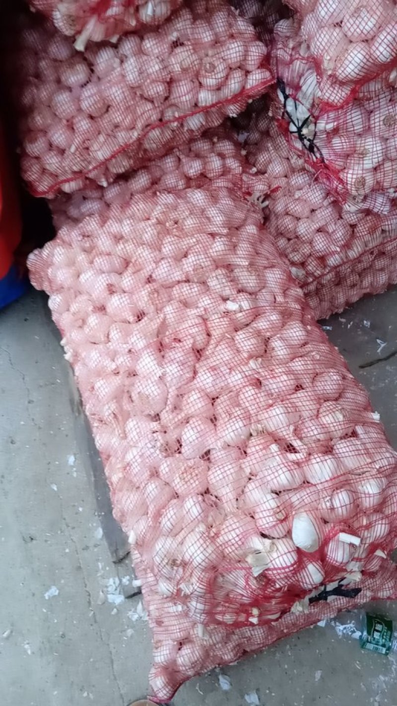 苍山大蒜，苔蒜，四六瓣，多瓣，