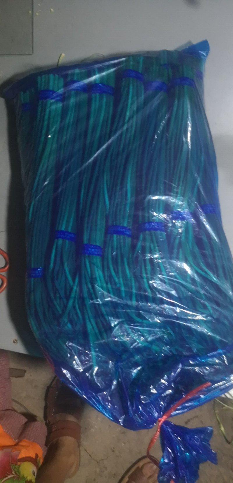斑鸠店蒜苔100吨，质量好，价格真实，诚信经营