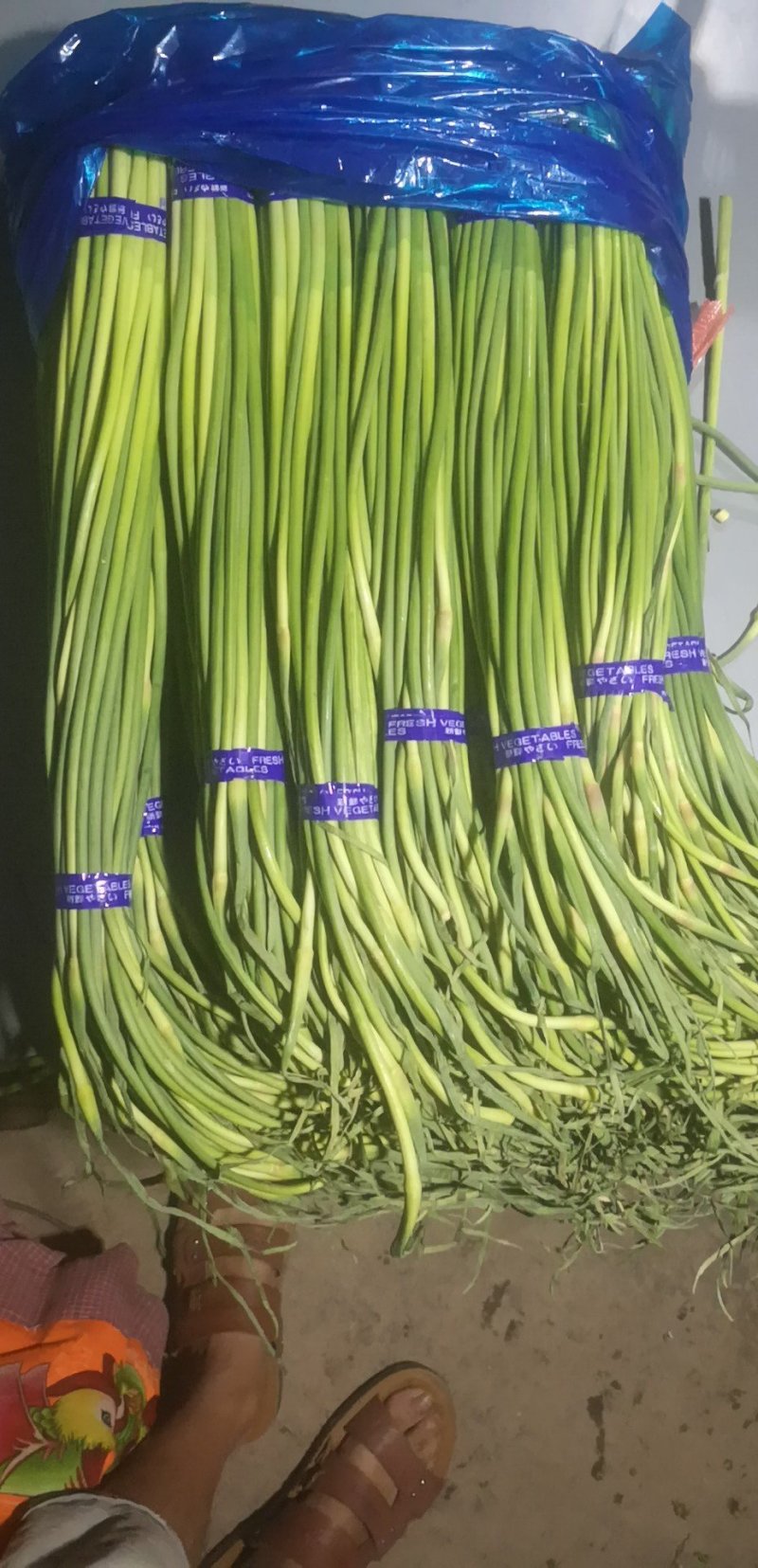 斑鸠店蒜苔100吨，质量好，价格真实，诚信经营
