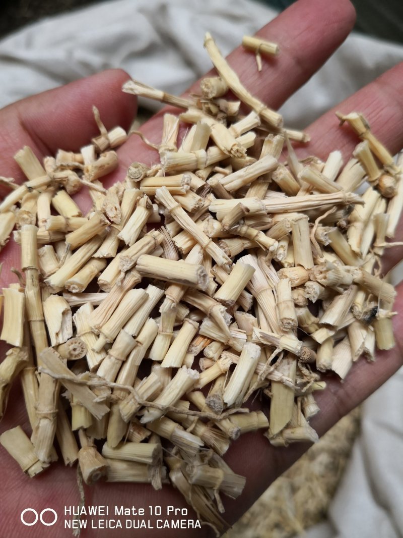 白茅根河北量大从优常年经营各种中药材