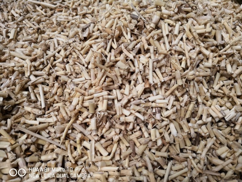 白茅根河北量大从优常年经营各种中药材
