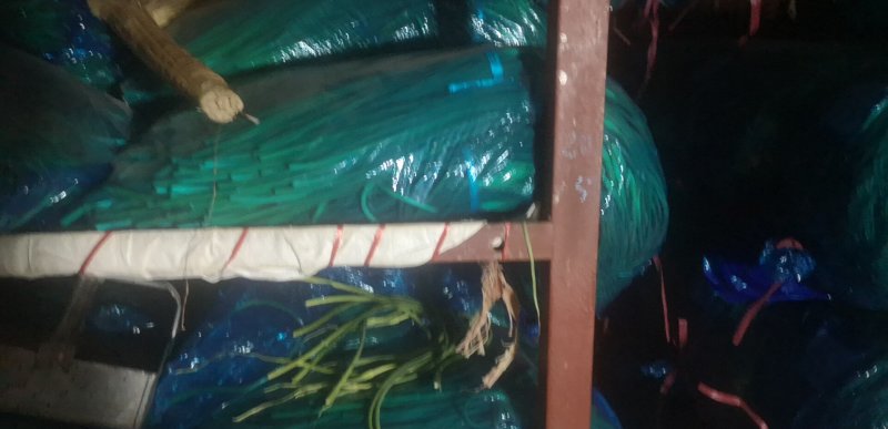 堂邑白苔出售，质量好，价格优