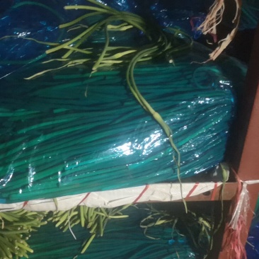 堂邑白苔出售，质量好，价格优
