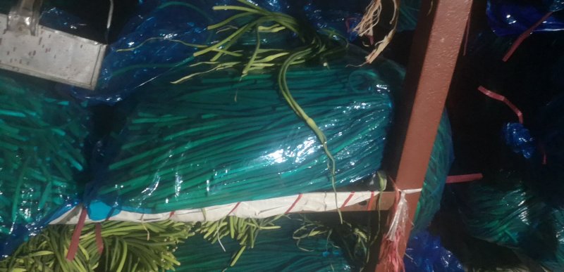 堂邑白苔出售，质量好，价格优