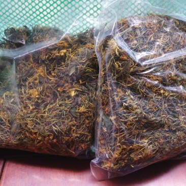金银花