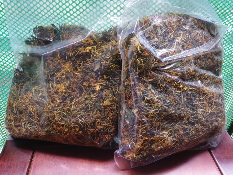 金银花