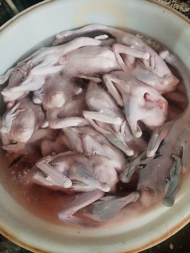 新鲜鹅掌亦大量有货全国供应