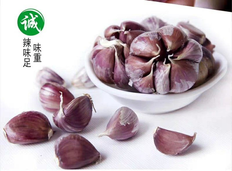 紫皮大蒜种子出苔蒜种子大蒜出苔紫皮蒜种子包邮