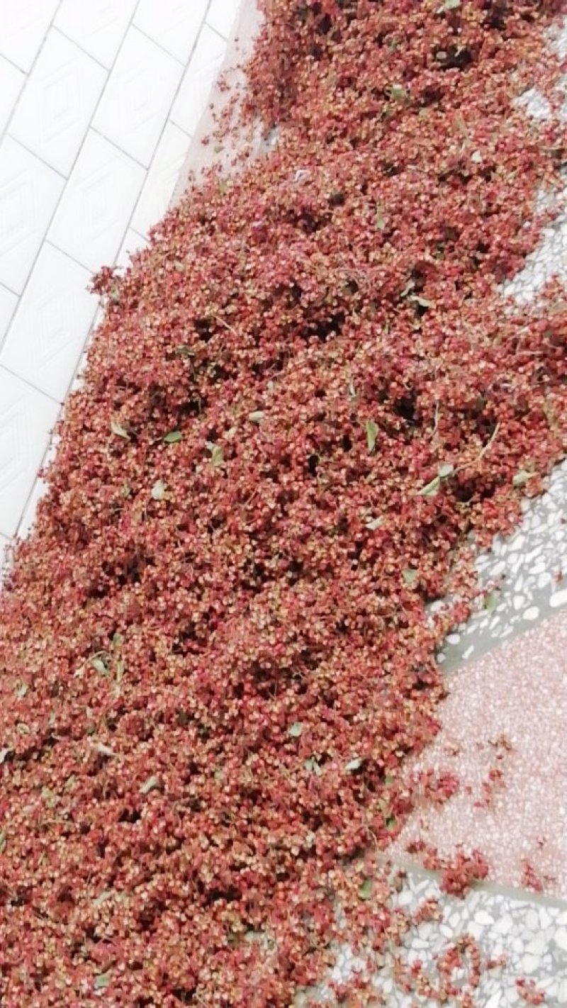精品花椒无杂质自家种植、