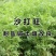 沙打旺种子多年生牧草种子绿肥草种护坡草耐寒耐旱耐盐碱