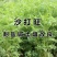 沙打旺种子多年生牧草种籽绿肥种籽防沙固土护坡耐寒耐旱