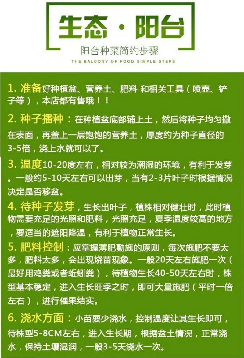 特大朝天椒种子高产朝天椒种子1000粒/包