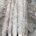22年新山药已大量上市