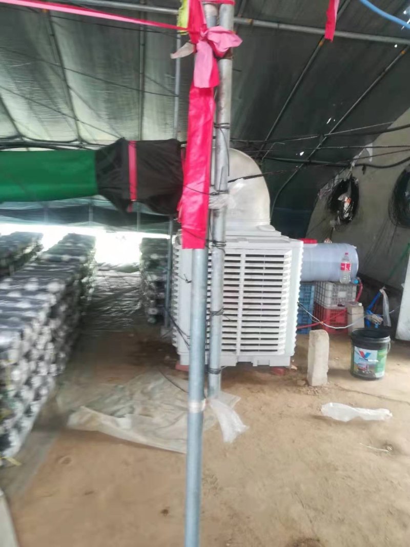 蒸发式冷风机厂房种植养殖降温设备
